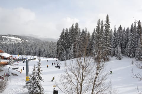 Winter view