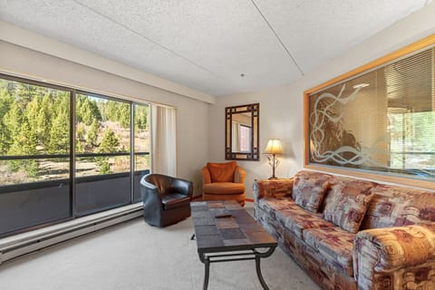 Living Room Area