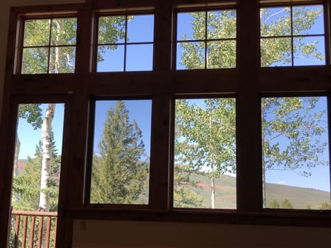View from Family Room