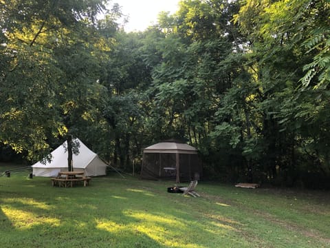 Enjoy the shade of large walnut trees through the day & starry skies at night!