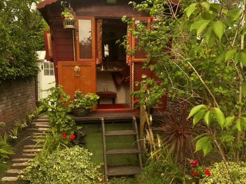 The Gypsy Knot, Wells-next-the-sea