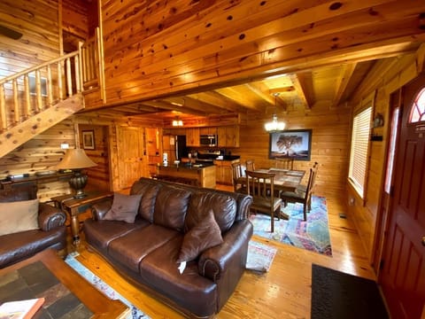 Living room and kitchen area from the entrance