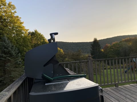 The grill at sunset