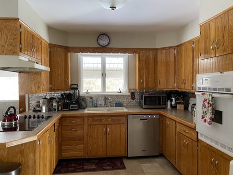 kitchen with new fridge, stovetop, and dishwasher