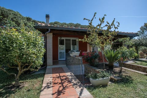 External
