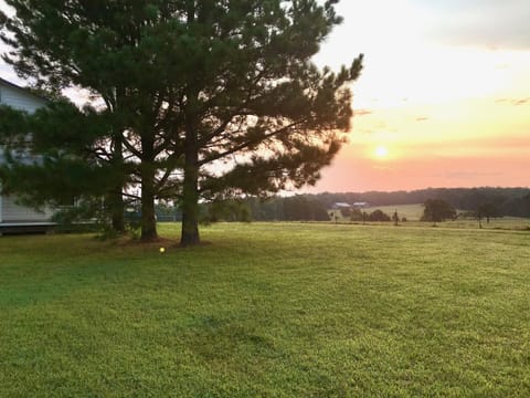 Plenty of (uncovered) parking to the right of the trees pictured here.