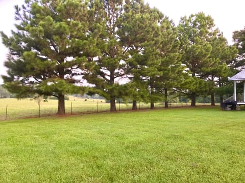 The house is surrounded by 37+ acres of pastureland.