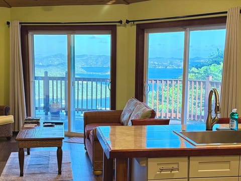 Gorgeous Island, Ocean, and Mountain views from the Kitchen and Living areas.