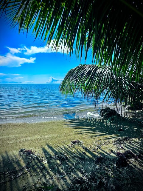 Your water front view steps away! 