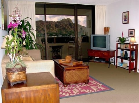 The Beautiful Diamond Head View From the Living Area