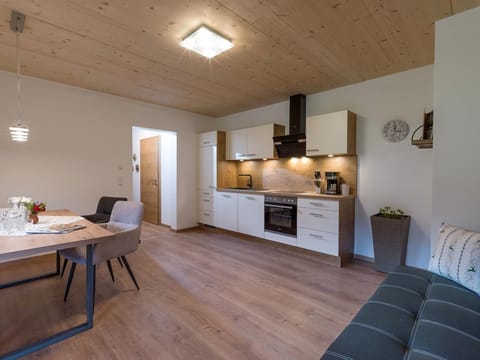 Appartement Sonnblick - Appartements Bichldorf Farm Stay in Salzburgerland