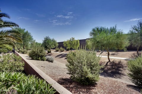 Walking trail behind the backyard