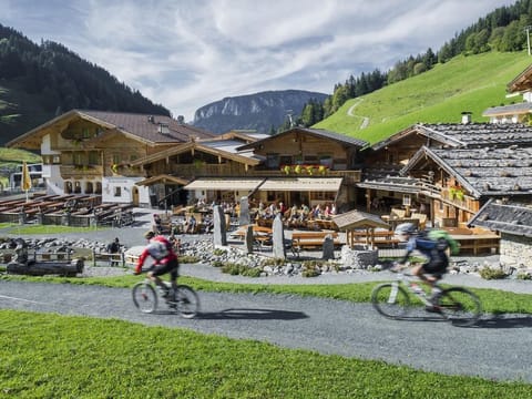 Kuastoi 1-4 Pers. - Stöcklalm - Das Leben ist Oben Apartment in Salzburgerland