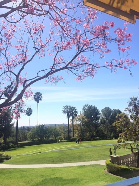 Cross the road from cottage garden