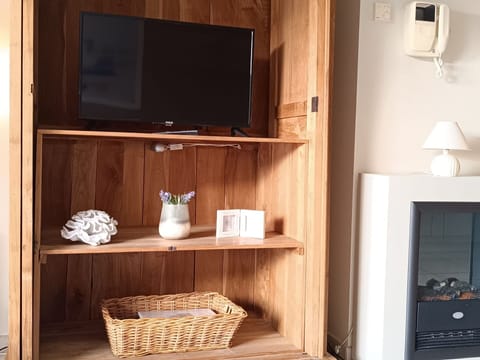 Property, Wood, Cabinetry, Lighting, Shelving, Interior Design, Wood Stain, Shelf, Hardwood