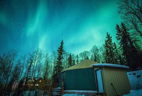 Yurt B, one of our two gorgeous yurts on the property. 