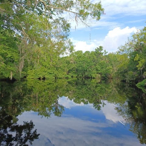 View from cottage windows