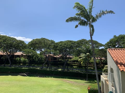 View from the lanai