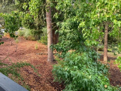 0.5 acre lot with lots of green space