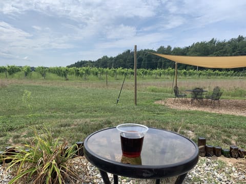 Cogdal Vineyards. 6 miles from property. 