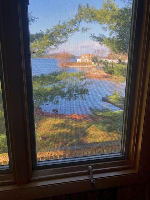  Morning View From Master Bedroom 