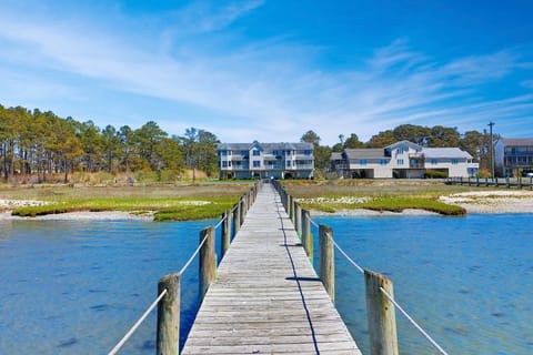 Shared Pier