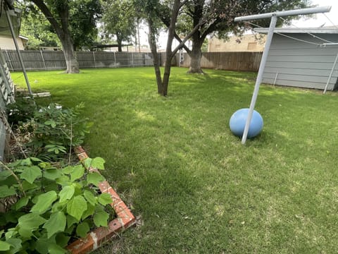 Large backyard with lots of room to stretch your legs!