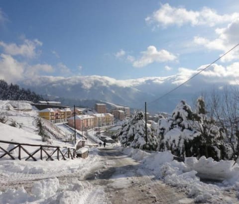 Snow and ski sports