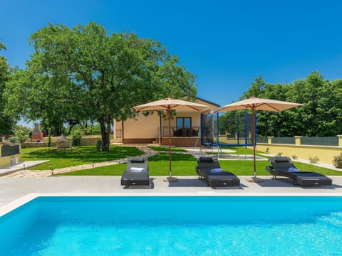 Plant, Water, Sky, Property, Blue, Swimming Pool, Building, Azure, Tree, Shade