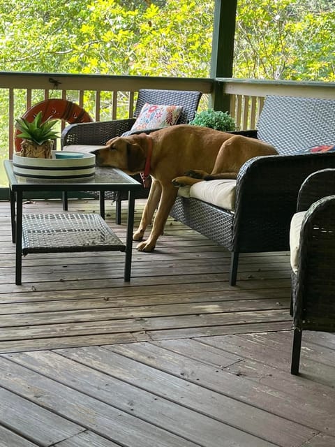 It’s a “Ruff” life at Paradise Cottage!