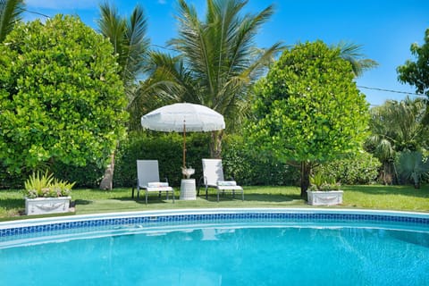 Pool and lounge area
