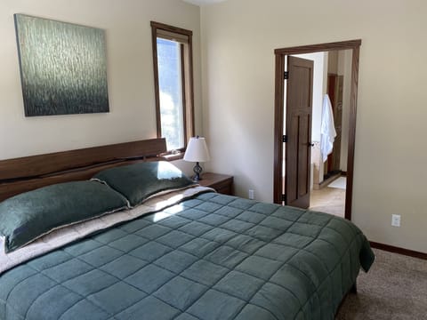 Forest Bedroom (view SE) - Large walk in Closet out of pic to right