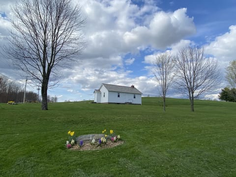 View in April of the School House's expansive lawn