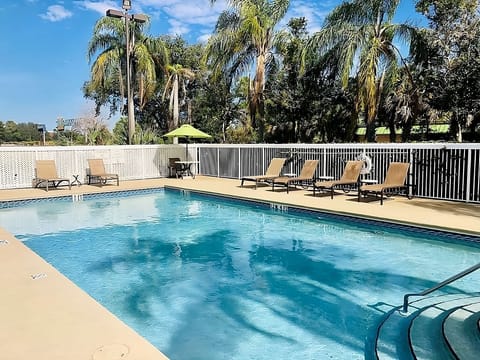 Unwind poolside with palm views and sun-warmed loungers.