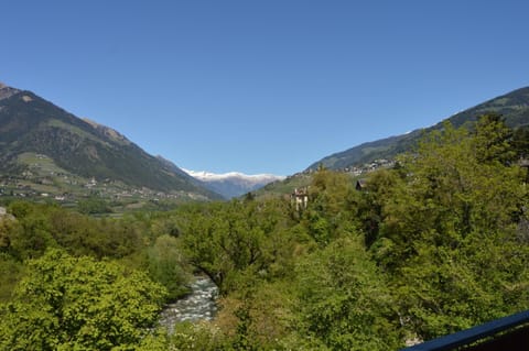 Area that directly surrounds the property