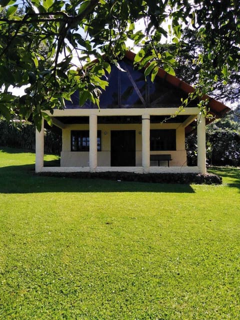 House view