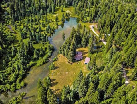 Aerial view of the cabin and yard.
