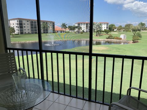 View from screened back porch 