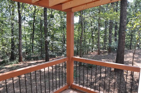 View from the back porch