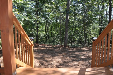 View from the back porch