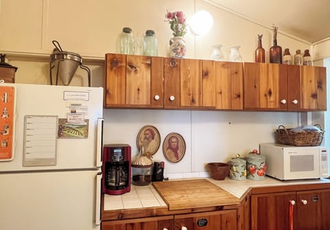 Kitchen fridge, counter and microwave