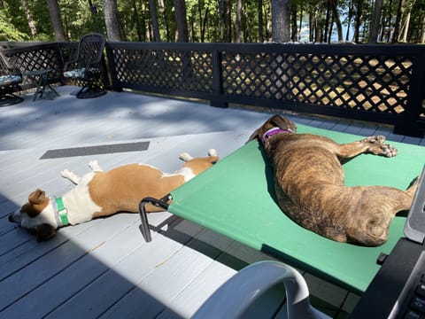 Large lake facing deck with plenty of space.