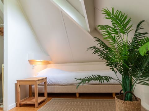 Plant, Furniture, Property, Building, Comfort, Wood, Interior Design, Floor, Flooring, Shade