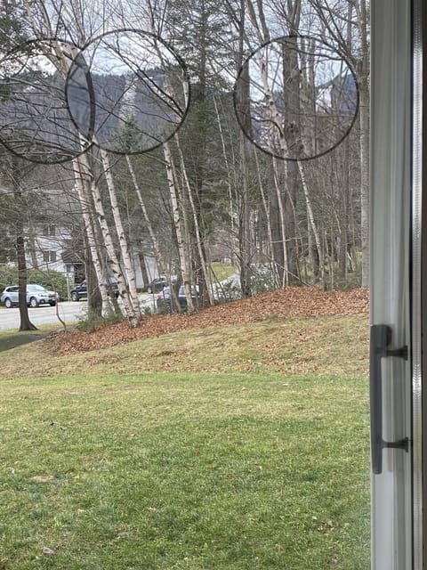 Mountain View of Lincoln Peak, 0.3 miles to double chair lift. 