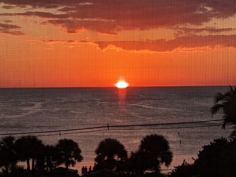 Spectacular Sunsets Just Like This!!!