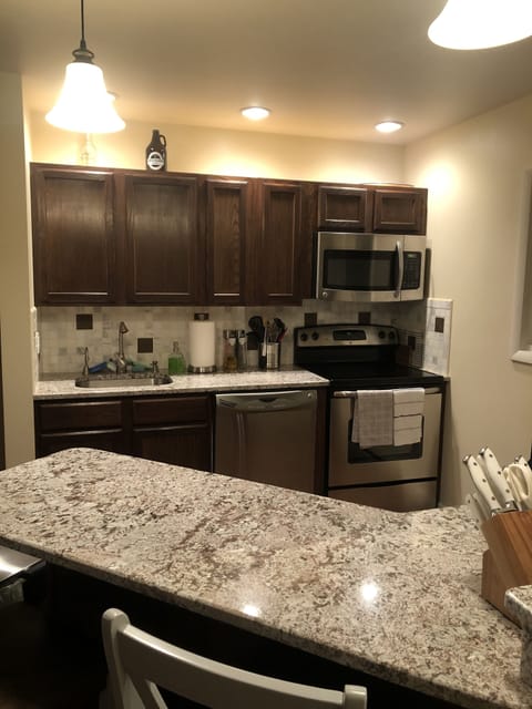Updated stainless steel kitchen with granite breakfast bar