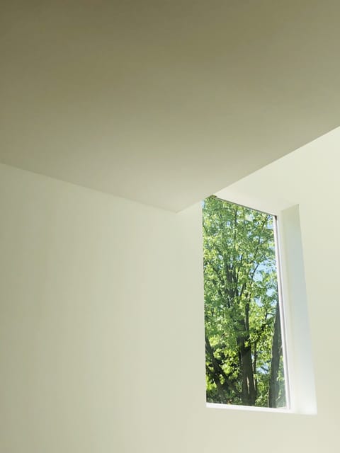 Natural light and views of the trees burst through the large windows. 