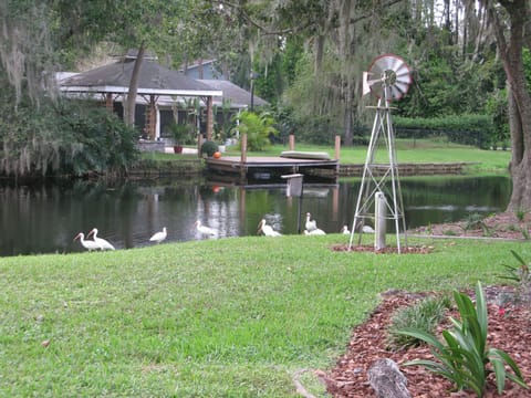 The well covered by a decorative windmill. 