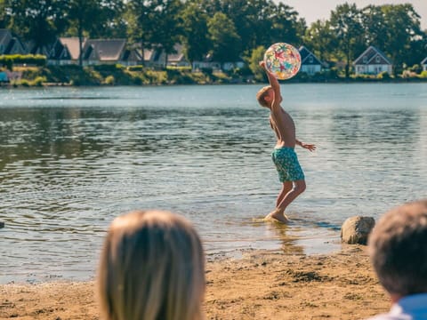 Water, Water Resources, Plant, Light, Tree, Lake
