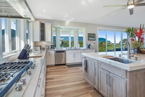  Fully equipped Gourmet Kitchen w/2 dishwashers, builtin gas cooktop, ovens, 